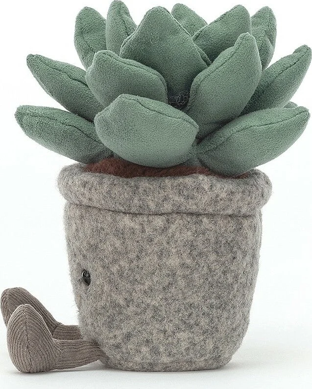 Silly Succulent Azulita