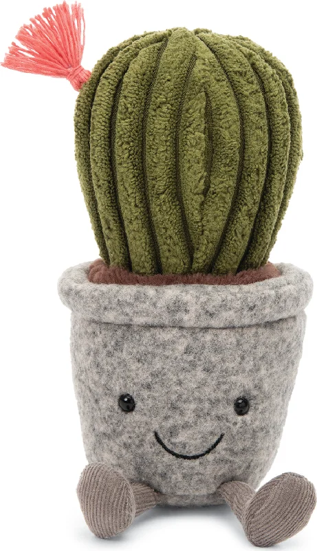 Silly Succulent Cactus