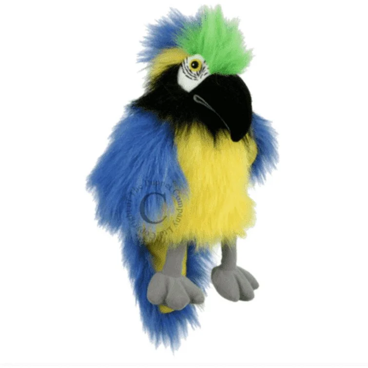 Baby Birds: Blue & Gold Macaw Baby