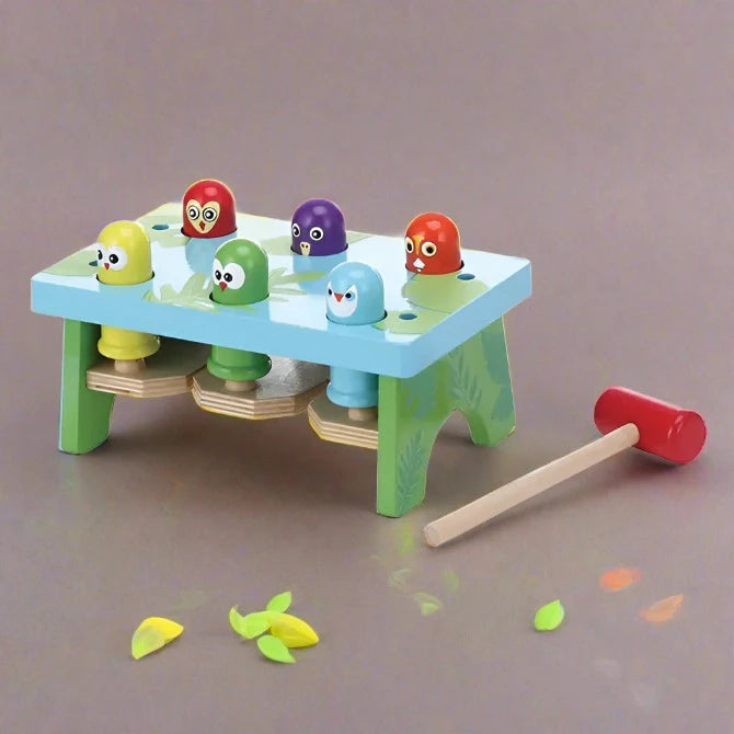Birds Hammer Toy