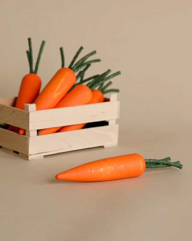 Erzi Carrot Pretend Food