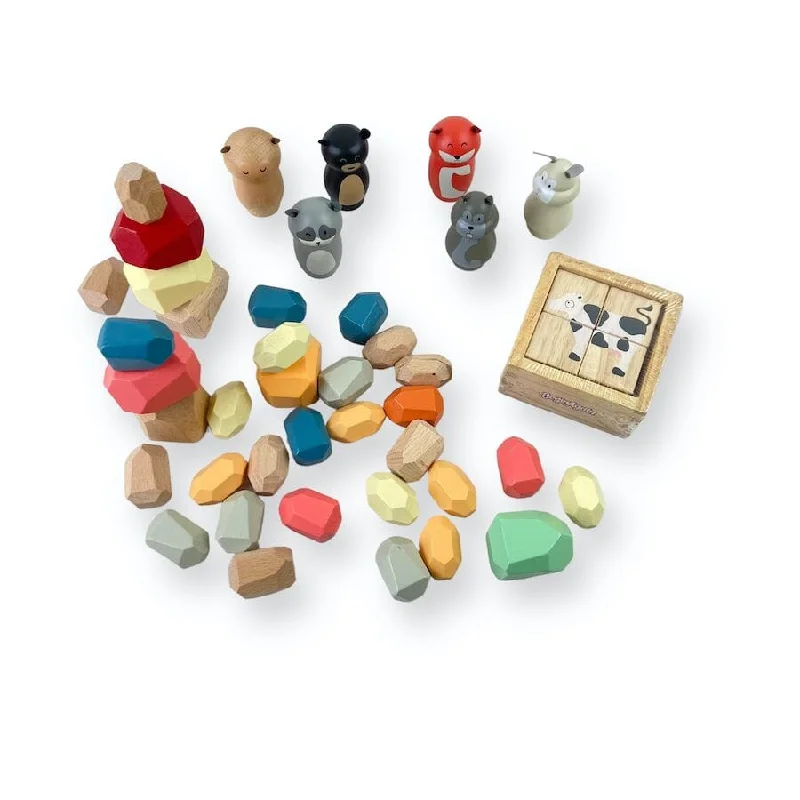 Colorful Wooden Toy Play Bundle