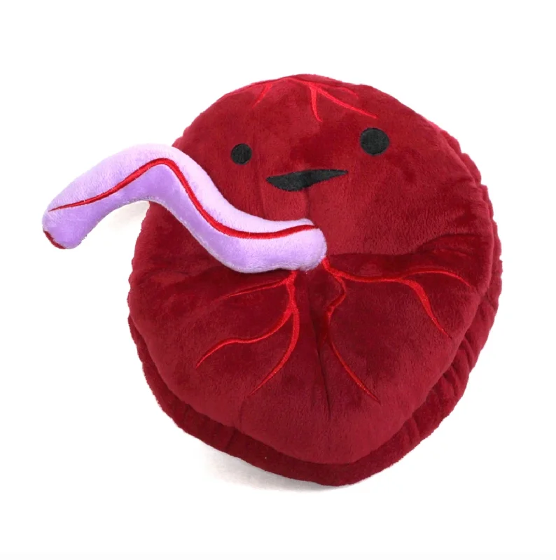 Placenta Plush