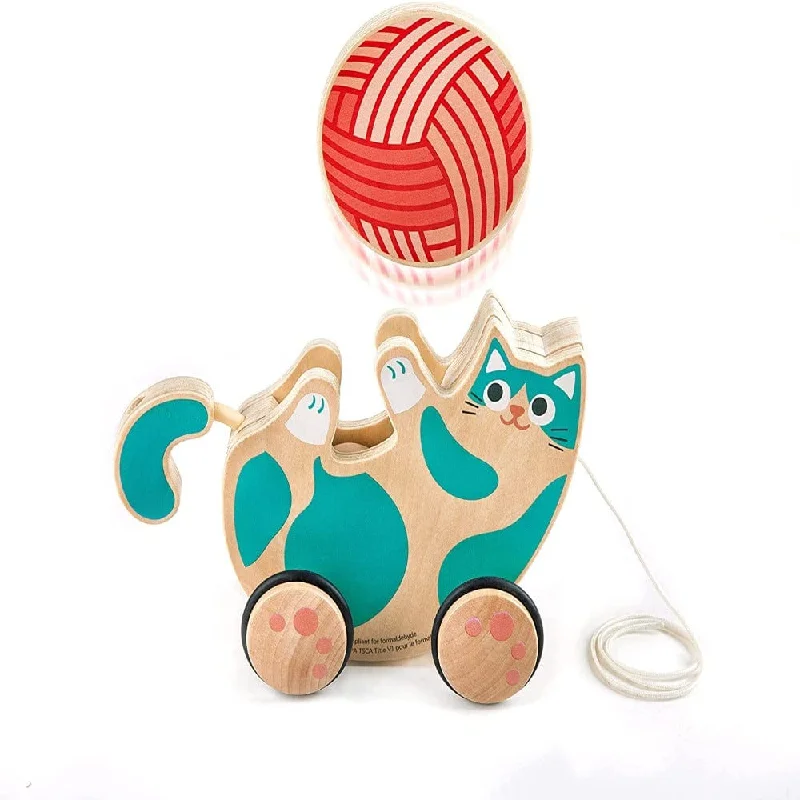 Walk-A-Long Kitten Pull Toy