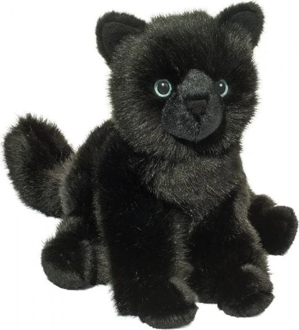Salem Black Cat