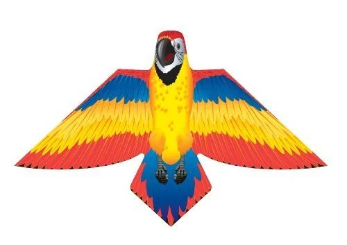 red parrot