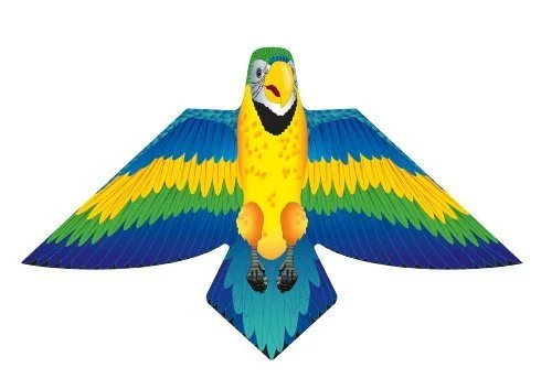 blue macaw