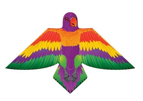 lorikeet parrot