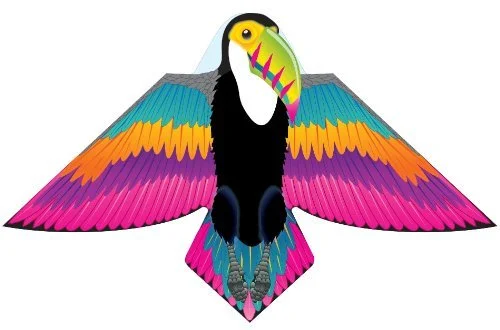 toucan