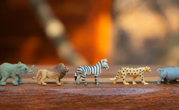 The best toys for every age and interest!